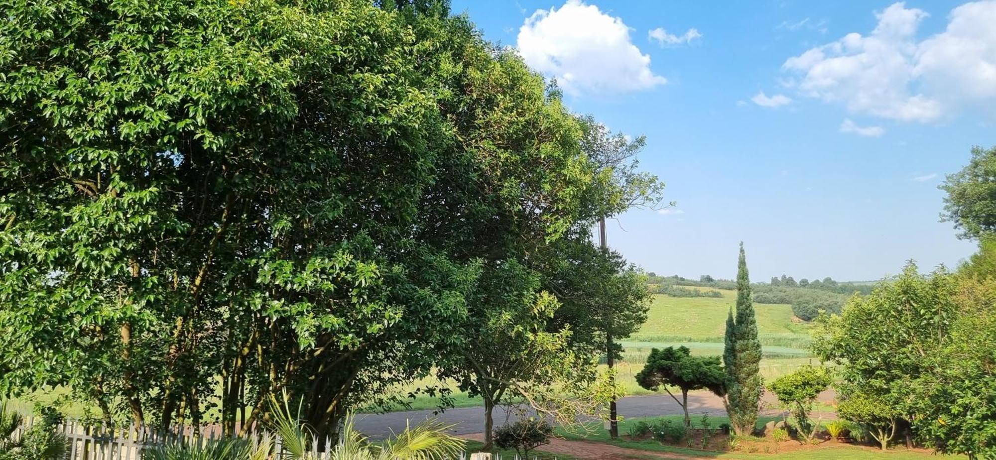 Rand Self-Catering Accommodation Carolina Bagian luar foto